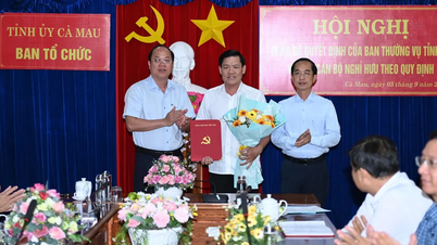Deputy Head of the Standing Committee of the Organizing Committee of Ca Mau Provincial Party Committee retires early
