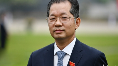Sekretaris Partai Da Nang, Nguyen Van Quang, ditunjuk sebagai Wakil Inspektur Jenderal Pemerintah