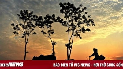 ¿A qué programa de VOV te recuerda esta canción temática tan conocida?