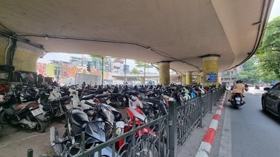 Di dời ngay các bãi trông giữ xe sau vụ cháy dưới gầm cầu Vĩnh Tuy
