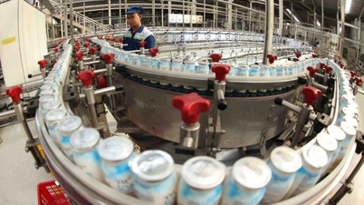 La tendencia de empleos verdes requiere trabajadores con las habilidades adecuadas