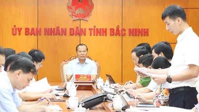 Bac Ninh implementează dezvoltarea unui set de indicatori pentru a servi direcției și activității de management.