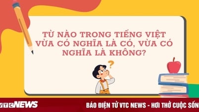 Từ Tiếng Việt nào vừa có nghĩa là có, vừa có nghĩa là không?