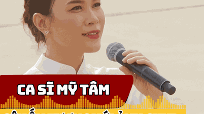 My Tam memberikan kesan yang kuat dengan foto-foto yang diambil di Alun-Alun Ba Dinh