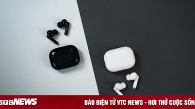 Inversión asequible, aún así, auriculares propios con una calidad cercana a la de un buque insignia.