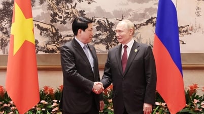 [Photo] Le président Luong Cuong rencontre le président russe Vladimir Poutine