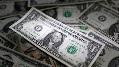 外国為替レート、8月29日のUSD/VND為替レート：USDは依然として圧力を受けている