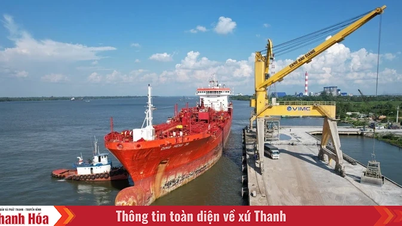 Một số quy định mới về thực hiện thủ tục biên phòng điện tử cảng biển