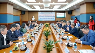 Long Châu hợp tác chiến lược toàn diện cùng Bệnh viện Đại học Y Dược TPHCM