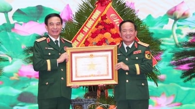 General Phan Van Giang og mange ledere i Forsvarsdepartementet mottok den militære fortjenstmedaljen.