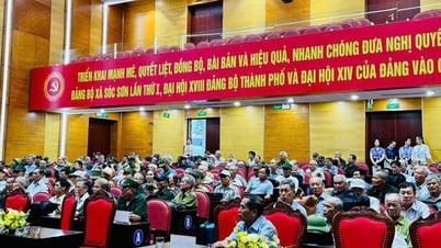 Komune Soc Son: Perawatan dan pemulihan kesehatan untuk 141 orang dengan kontribusi revolusioner