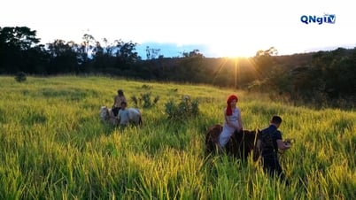 Los ingresos por turismo alcanzaron más de 180 mil millones de VND con motivo del feriado del 2 de septiembre.