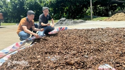 การสร้างชนบทเชิงนิเวศที่เชื่อมโยงกับเกษตรกรรมแบบหมุนเวียน