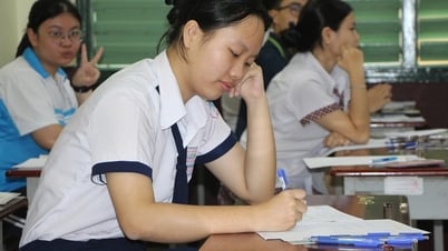 Sau sáp nhập, TP.HCM tổ chức chọn học sinh giỏi thi cấp quốc gia thế nào?