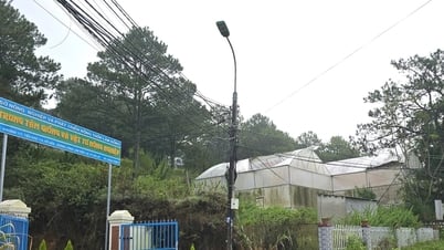 Plan para construir la circunvalación de Lam Vien en Da Lat que conecta la Carretera Nacional 27C