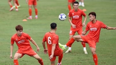 L'équipe vietnamienne ne participera pas aux compétitions internationales lors des journées FIFA en septembre