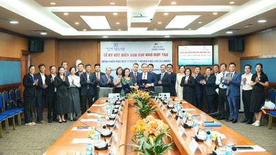 Hợp tác kiến tạo hệ sinh thái y tế vì sức khỏe người Việt