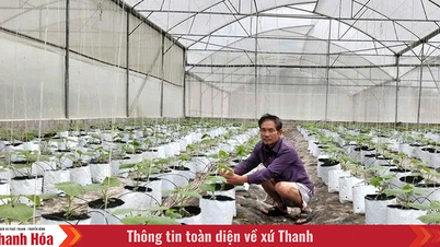 Opening the way to improve the lives of people in Thuong Ninh