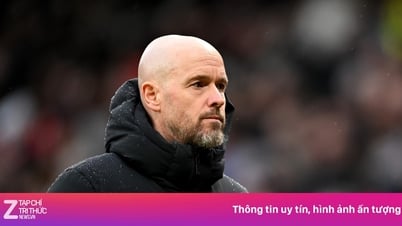 Sai lầm trên ghế huấn luyện khiến Leverkusen trả giá