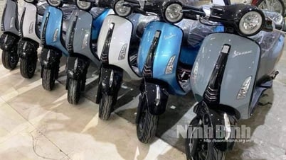 Pasar sepeda motor di Vietnam memasuki periode persaingan yang ketat.