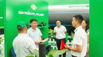 Hai Phong's industrial imprint at the exhibition of 80 years of national achievements