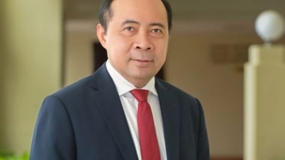 Bapak Vu Hai Quan diangkat sebagai Wakil Menteri Tetap Sains dan Teknologi.