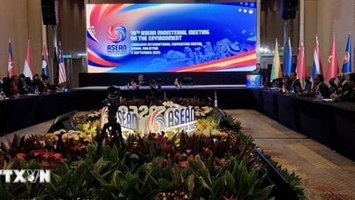Le Vietnam compte 3 parcs nationaux reconnus comme nouveaux parcs du patrimoine de l'ASEAN