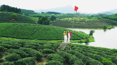 Green Connection Journey: Experience 'Green Oasis of Nghe An'