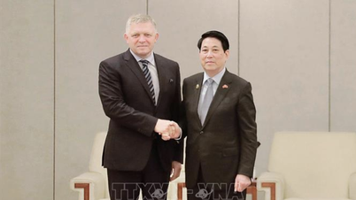 Präsident Luong Cuong trifft sich mit dem slowakischen Premierminister