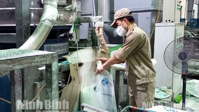 Ninh Binh: Tujuan investasi yang menarik