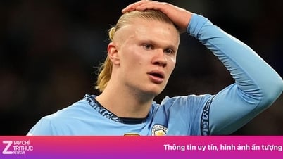 Хааланд расстроен
