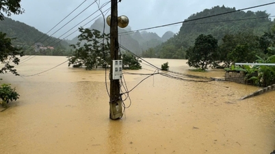 Peringatan banjir bandang, tanah longsor dan penurunan tanah di 65 kecamatan dan kelurahan di provinsi tersebut