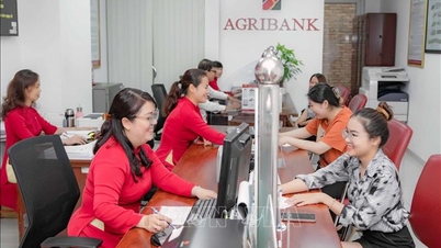 AI Wave៖ ធនាគារ 'ស្រេកទឹក' សម្រាប់ធនធានមនុស្សឌីជីថល