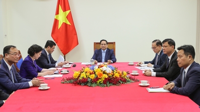 Continue to expand cooperation between Vietnam and Germany