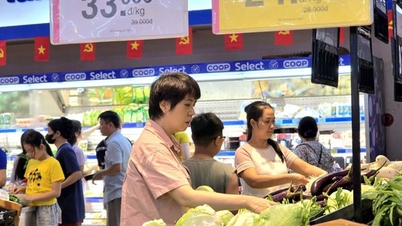 Saigon Co.op reduces food prices by up to 33% to help people fight storm No. 10