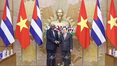 ប្រធានរដ្ឋសភាលោក Tran Thanh Man ជួបសន្ទនាជាមួយប្រធានរដ្ឋសភាគុយបា Esteban Lazo Hernández