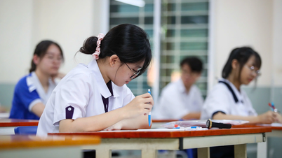 Sửa luật Giáo dục: Quy định về SGK, bằng cấp sẽ thay đổi ra sao?