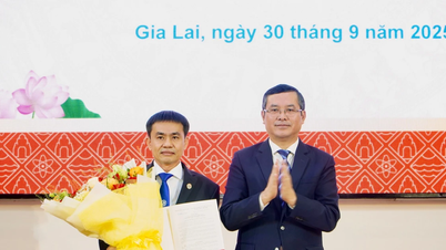 ប្រគល់រង្វាន់សេចក្តីសម្រេចទទួលស្គាល់សាកលវិទ្យាធិការនៃសាកលវិទ្យាល័យ Quy Nhon ដល់សាស្ត្រាចារ្យរង បណ្ឌិត Doan Duc Tung