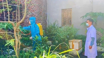 Launching environmental sanitation campaign to prevent dengue fever in Ky Lua ward, Lang Son province
