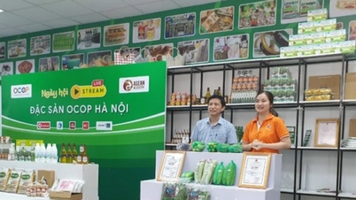 Hanoi promotes digital transformation in OCOP product development