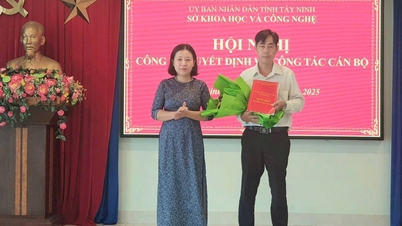 មន្ទីរវិទ្យាសាស្ត្រ និងបច្ចេកវិទ្យាខេត្ត Tay Ninh បានរៀបចំសន្និសីទប្រកាសសេចក្តីសម្រេចរបស់ប្រធាននាយកដ្ឋានវិទ្យាសាស្ត្រ និងបច្ចេកវិទ្យាស្តីពីការងារបុគ្គលិក។