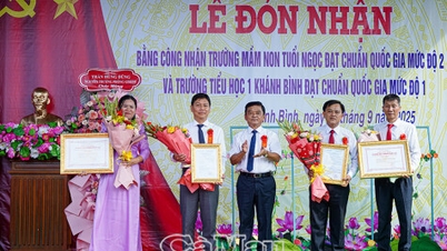 សាលារៀនចំនួនពីរនៅ Khanh Binh បំពេញតាមស្តង់ដារជាតិ