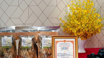 Muguri de fructul dragonului - de la abandonat la specialitate de marcă