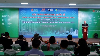 Améliorer les activités de transformation numérique dans la ville de Da Nang