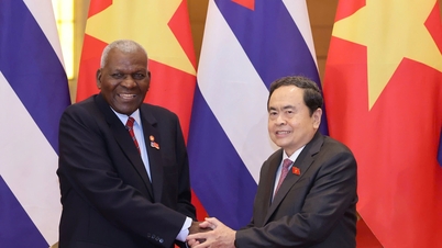 Cuba expressed solidarity and shared with Vietnam the difficulties caused by the storm.
