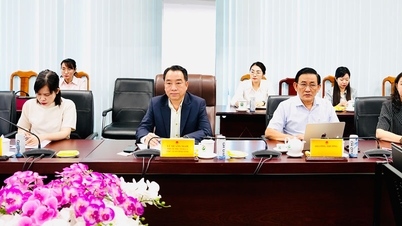 Chairman of the Provincial People's Committee - Lu Quang Ngoi received and worked with the JETRO delegation in Ho Chi Minh City