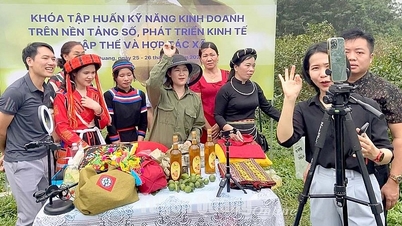 ការកសាងប្រព័ន្ធអេកូឡូស៊ីផ្សព្វផ្សាយពាណិជ្ជកម្មឌីជីថលដ៏ទូលំទូលាយសម្រាប់ទំនិញវៀតណាម