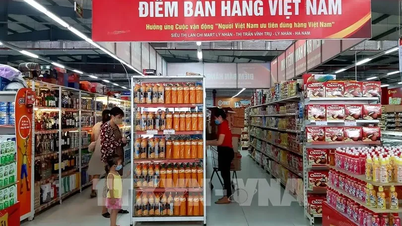 Promote the implementation of solutions to develop the domestic market by 2025