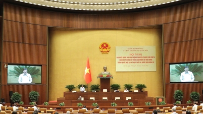 Draft Law on Thrift and Anti-Waste: Correctly assessing the nature of waste and thrift