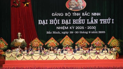 Bac Ninh aims for sustainable development, moving forward with the whole country in the new era